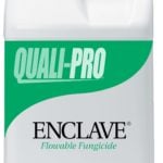 Enclave