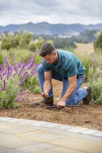 Replacing sprinklers with drip irrigation can reduce water use by up to 50%.