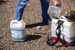 Holganix Liquid Turf