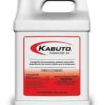 Kabuto