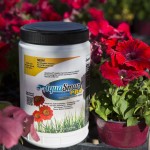 PRIMG AM AquaSmart with Flowers