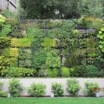 Green Wall