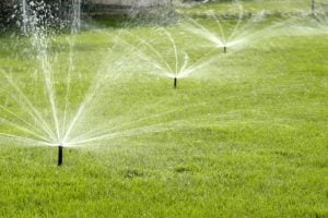 Rotary Nozzles in Action