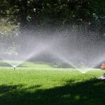PRIMG IR Sprinklers with Tree