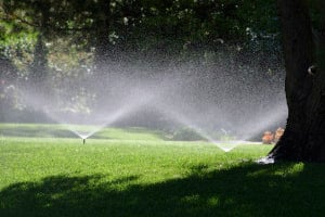 PRIMG IR Sprinklers with Tree