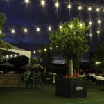 Bistro Landscape Lighting