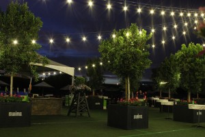 Bistro Landscape Lighting