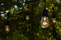 PRIMG LT Bistro Lighting in Trees