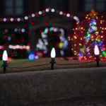 PRIMG LT Holiday Lights Driveway