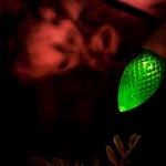 PRIMG LT Holiday Lights