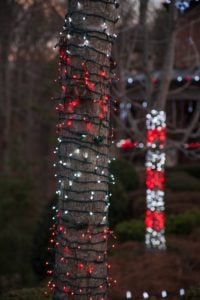 PRIMG LT Holiday Lights Trees