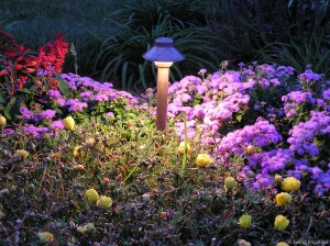 PRIMG LT LED with Flowers