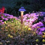 PRIMG LT LED with Flowers