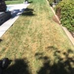 PRIMG Misc Damaged Turf - TFernald_ReddingCA 2
