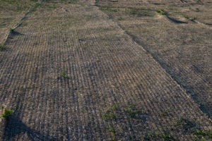 PRIMG Misc Erosion Blanket Application