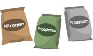 PRIMG Misc Fertilizer NPK