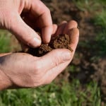 PRIMG Misc Hands Soil