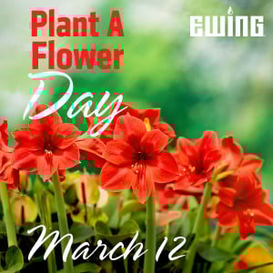 PRIMG Misc Plant a Flower Day
