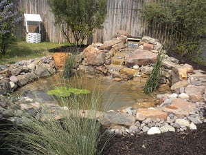 PRIMG Misc Pond Donation Texas 2013 4