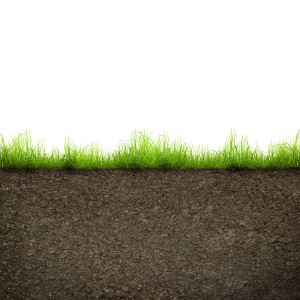 PRIMG Misc Soil and Turf