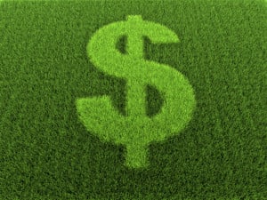 PRIMG Misc Turf Dollar Sign