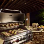 PRIMG OL Bull BBQ with FX Light