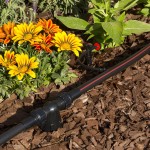 PRIMG Prod Landscape Products Drip Conversion
