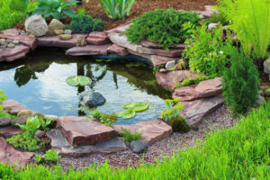 primg-wf-pond-2