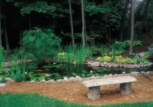 Small Pond Water Feature