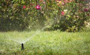 PRIMG.irrigation.sprinklers