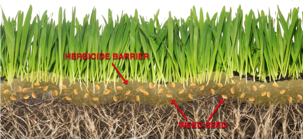 Pre-Emergent Herbicide