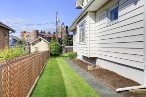 Side yard