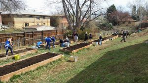 Jovial Gardens - Garden Beds