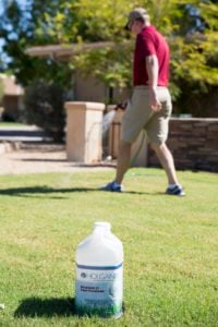 Spraying Holganix on Lawn