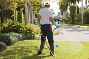 Turf Sprayer 1