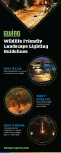 Wildlife-Lighting-Infographic
