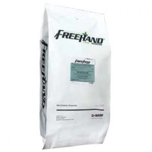 basf-freehand-175g