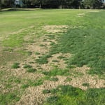 Golf Course Maintenance