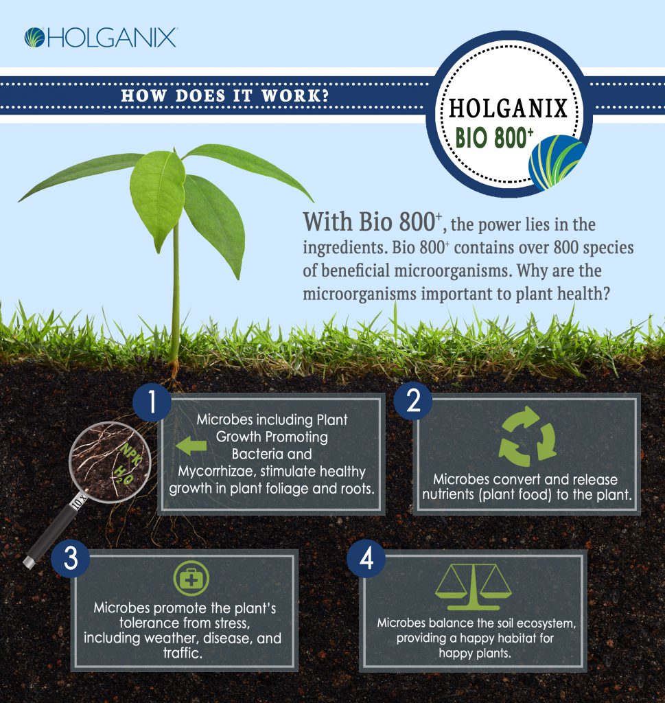 How Holganix Works