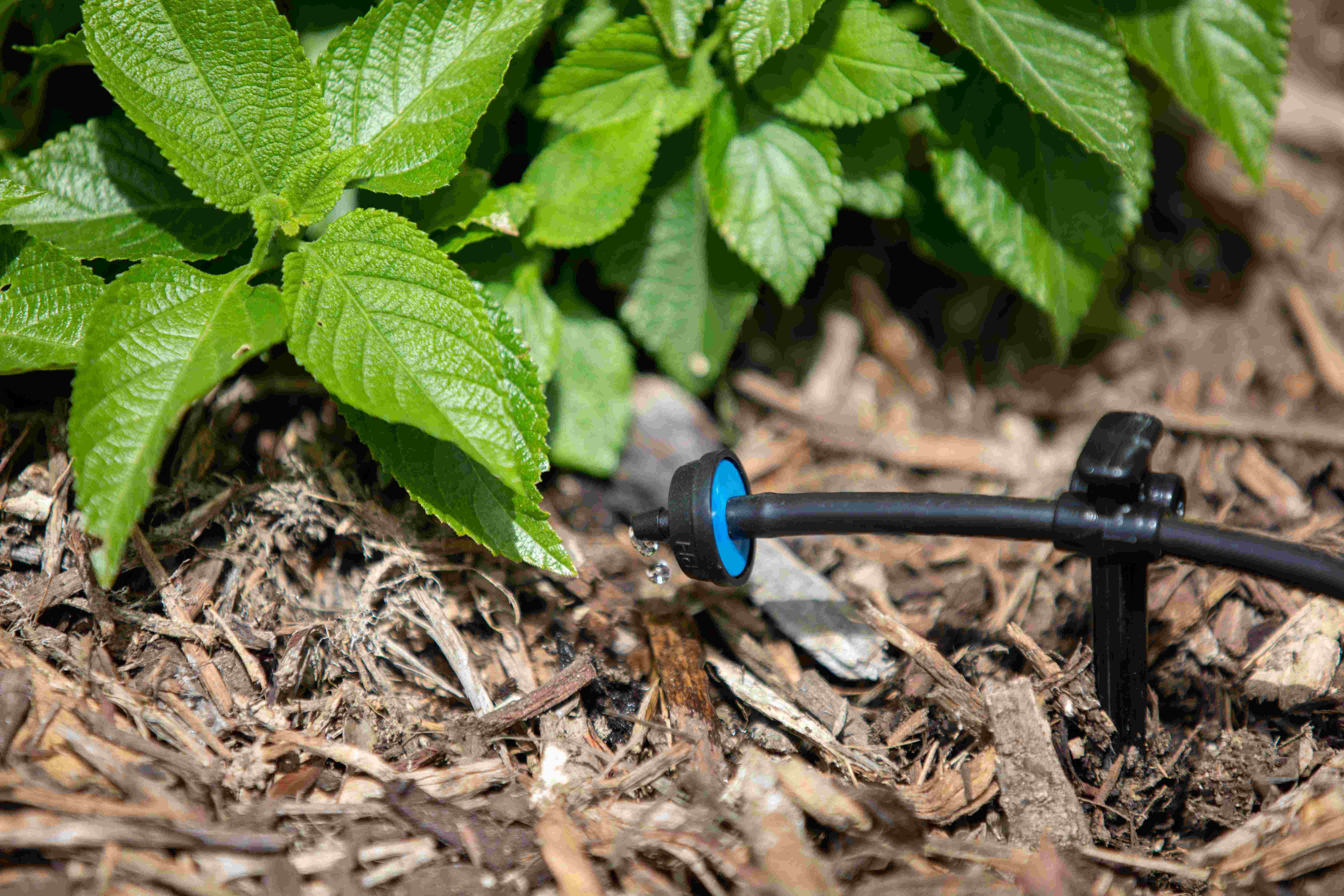 Landscape_Products_Drip_Micro_Emitters_002