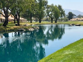 ewing-irrigation-Sun-Lakes-country-club-Hole-17-after-controlling-aquatic-weeds
