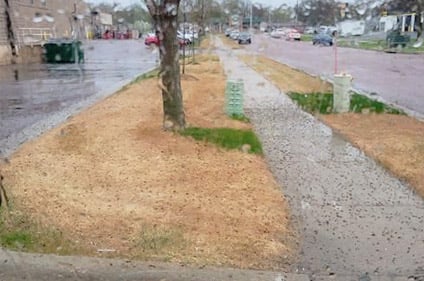 ewing-irrigation-safeguards-against-misapplication-of-non-selective-herbicides-2