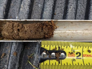 ewing-irrigation-thatch-101-a-half-inch
